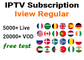 Iview Regular Xtream IPTV Smarters Subscription Support EPG M3U Stalker NET