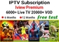 Bein Sports IPTV Reseller Panel Arabic Movies Series Premium IPTV Subscription